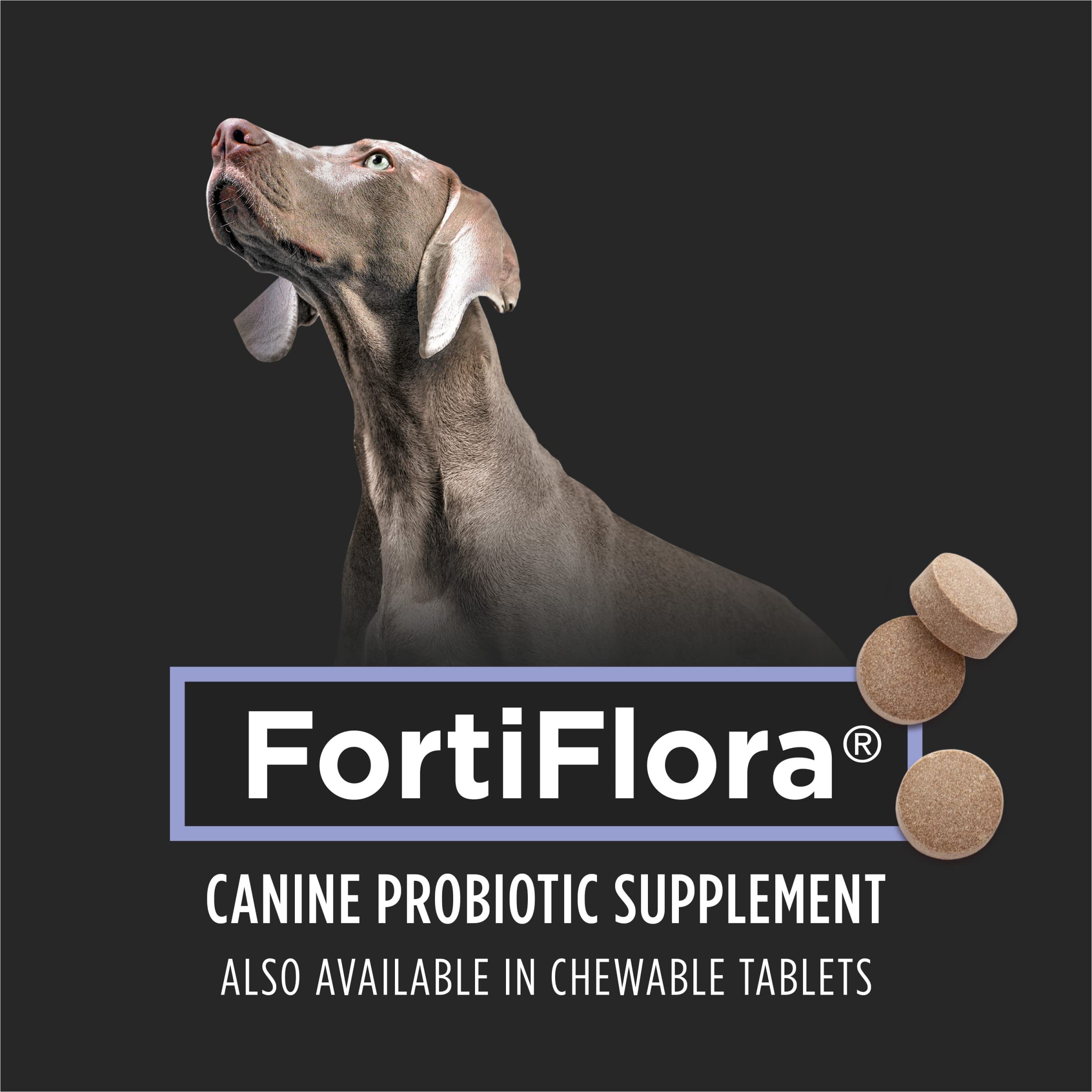 FortiFlora probiotic supports immune balance and antioxidants for dogs