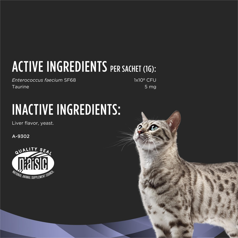 FortiFlora powder sprinkled into cat food for digestion support.