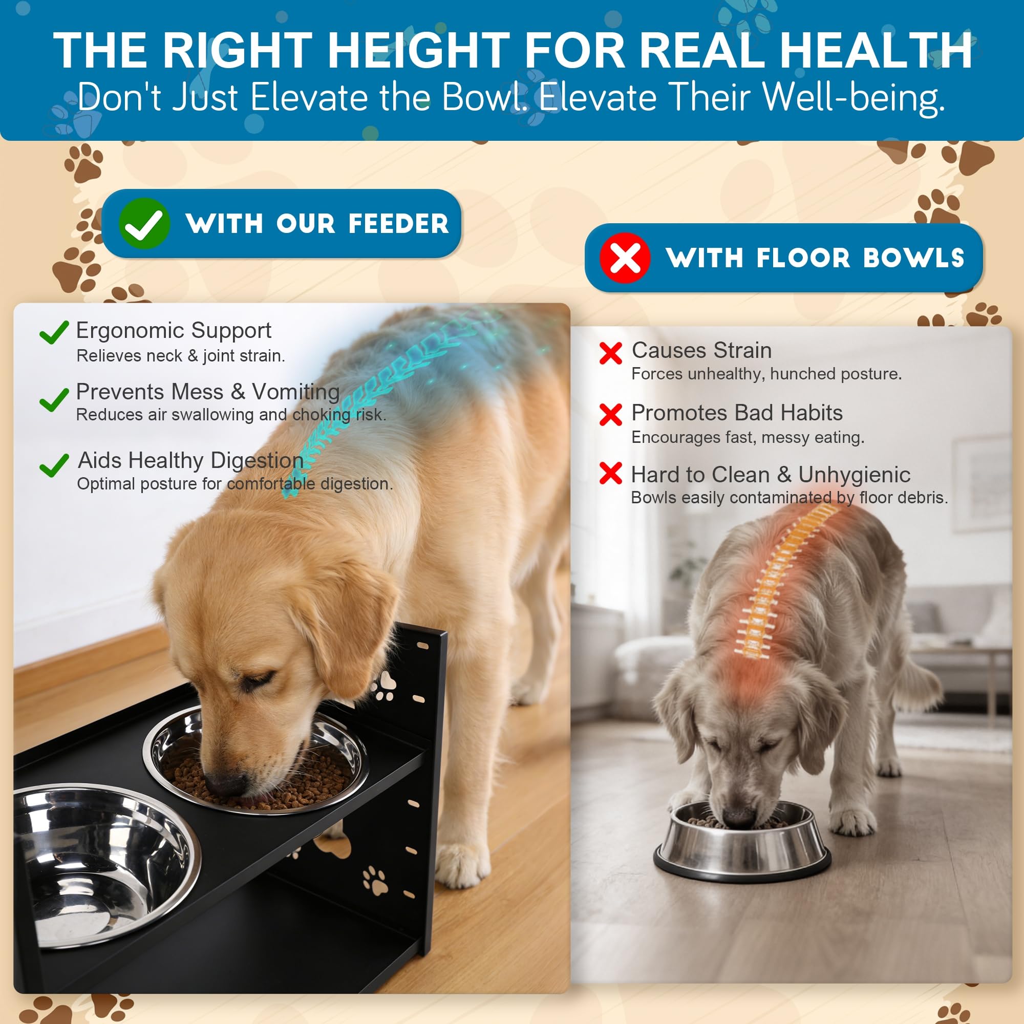 FORUP spill-resistant raised edge contains food and water during meals