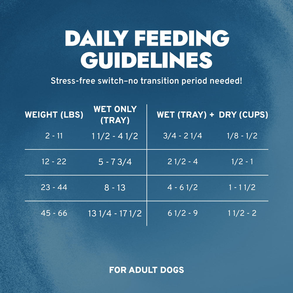 Forza10 32-pack can pack showcasing convenient bulk packaging for regular feeding.