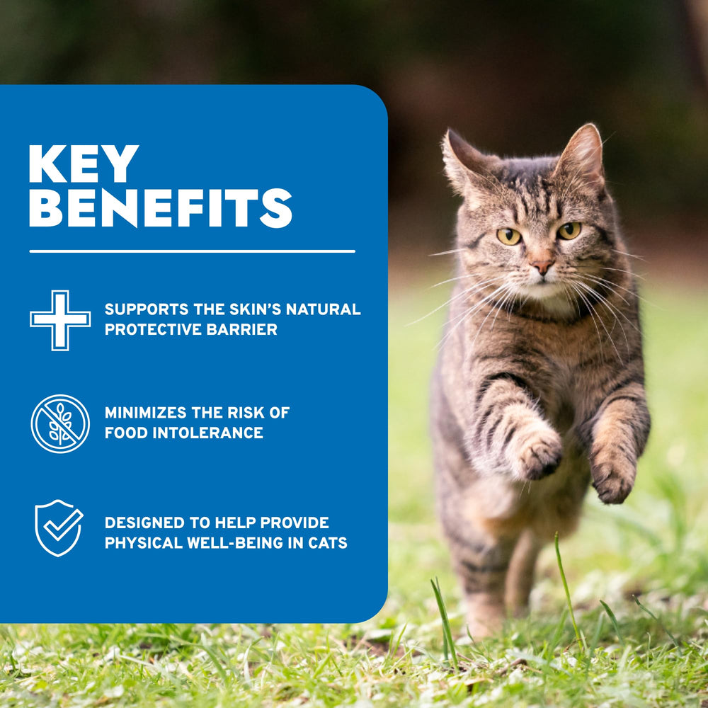 Forza10 cat food can, lamb formula aids digestion and wellbeing