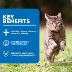 Forza10 cat food can, lamb formula aids digestion and wellbeing