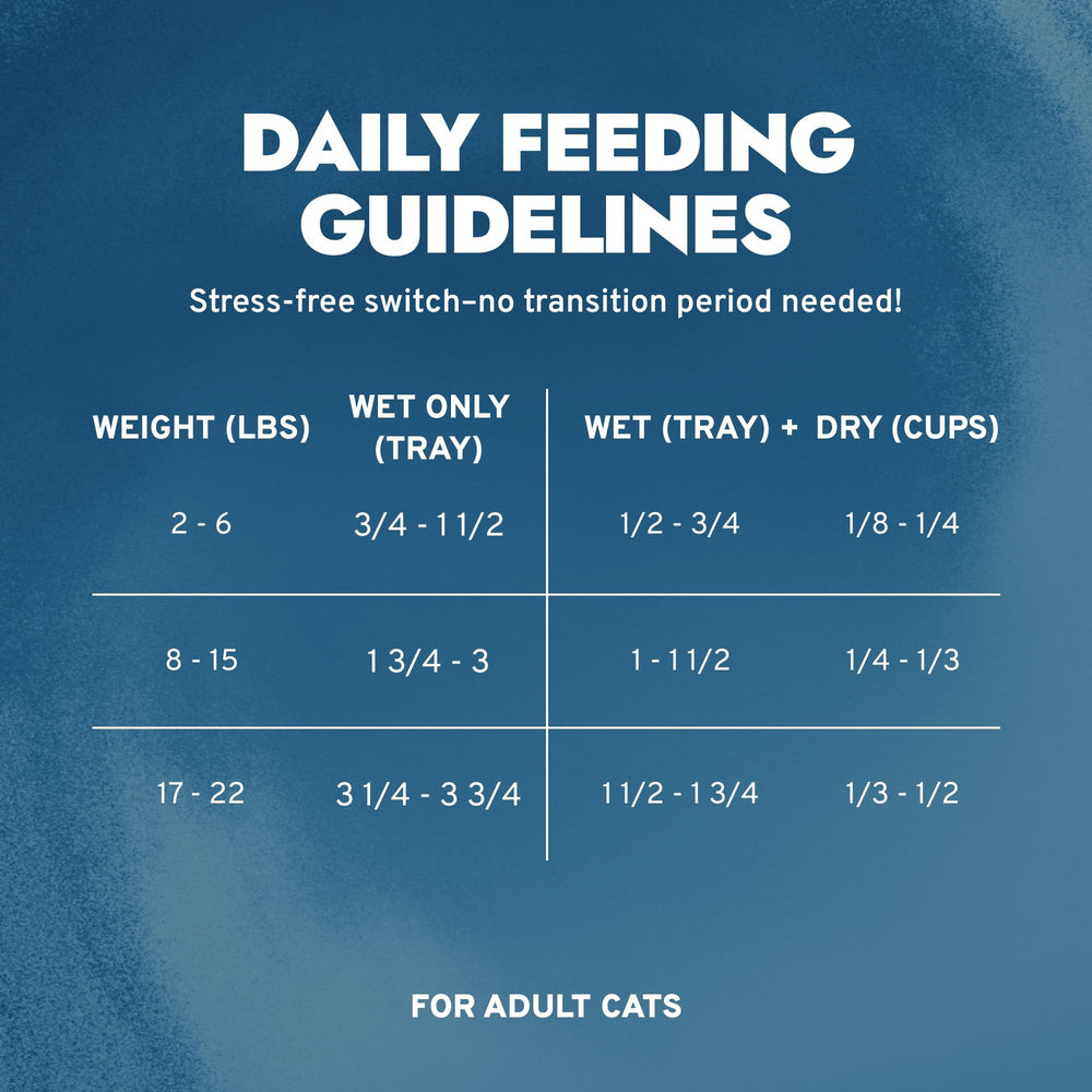 Forza10 adult cat food can, lamb recipe supports coat vitality