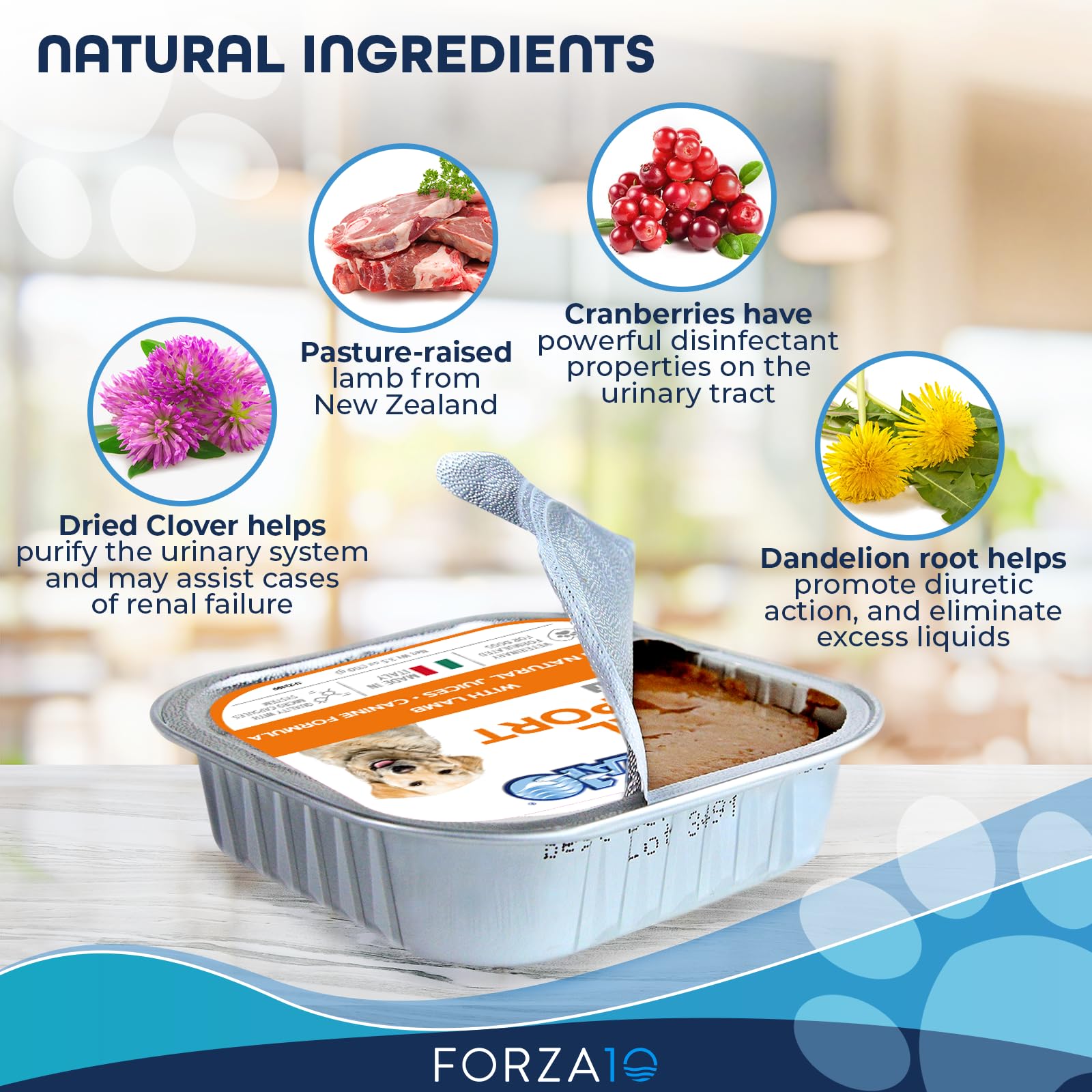 Forza10 cranberries and dried dandelion ingredients supporting kidney health in dogs