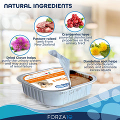 Forza10 cranberries and dried dandelion ingredients supporting kidney health in dogs
