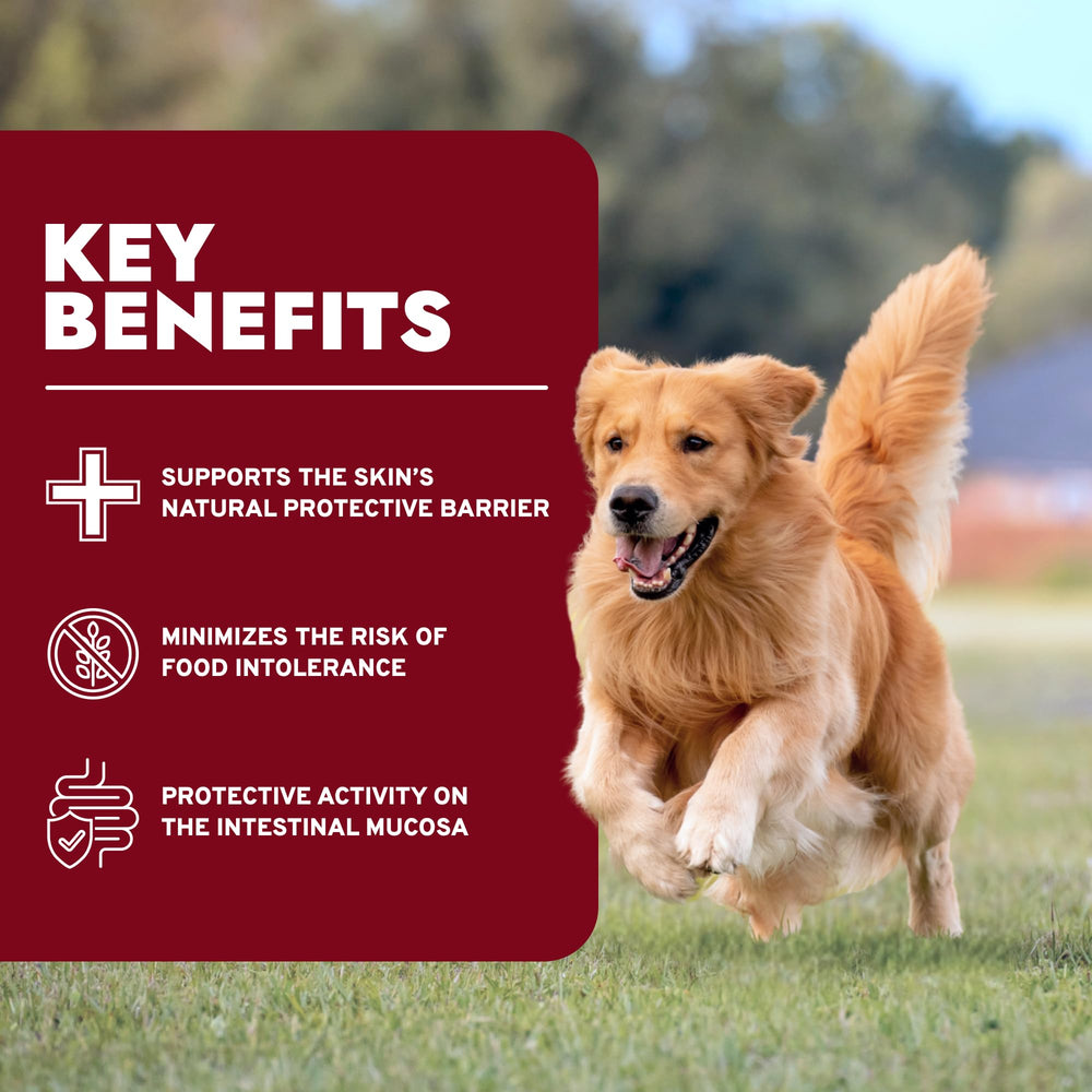 Forza10 Dermo Dry hydrolyzed fish protein detail for easier digestibility.