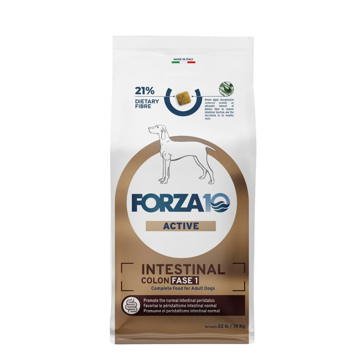 Forza10 dog food dry 22lb packaging promoting easy digestion and gut comfort.