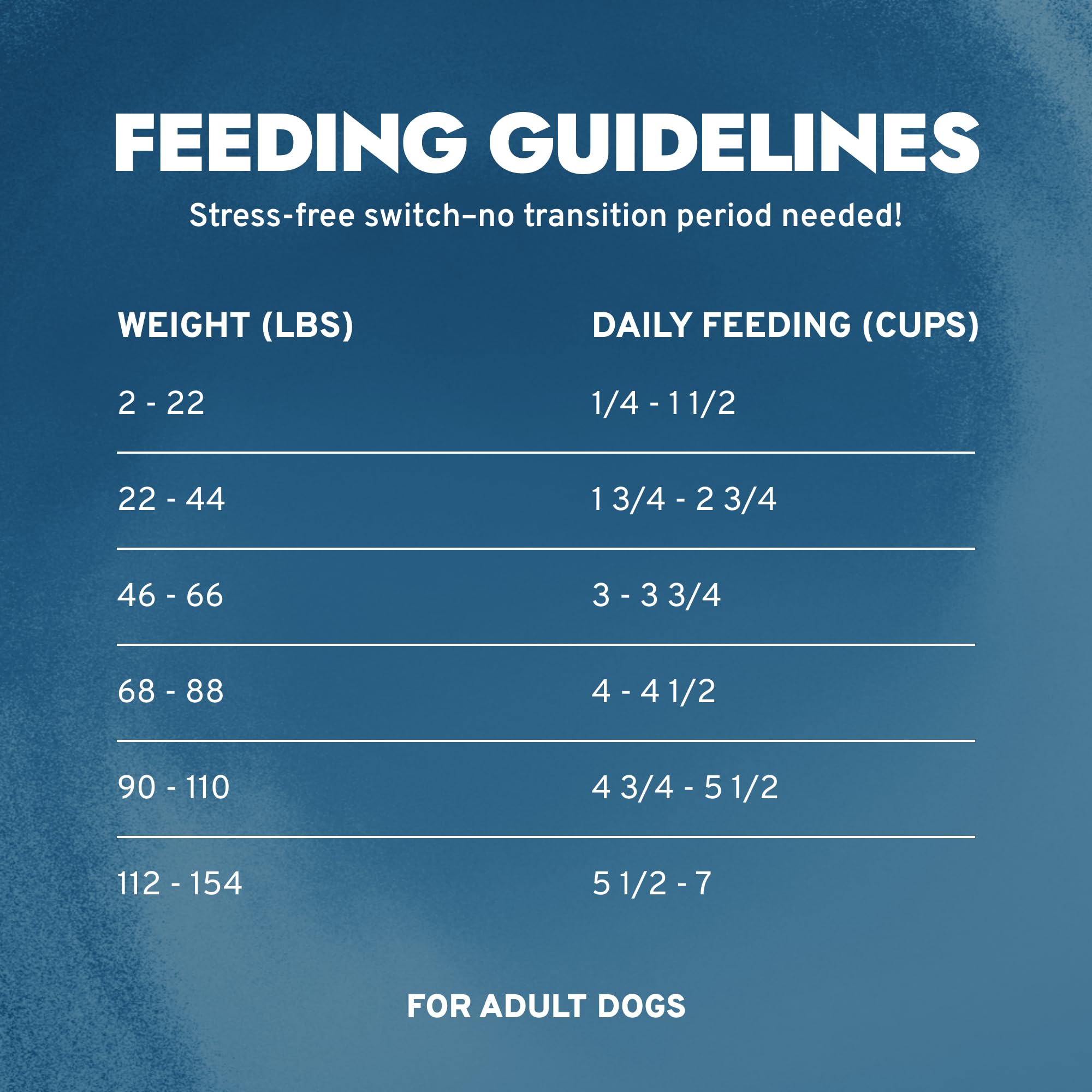 Forza10 dog food serving bowl showing meal presentation