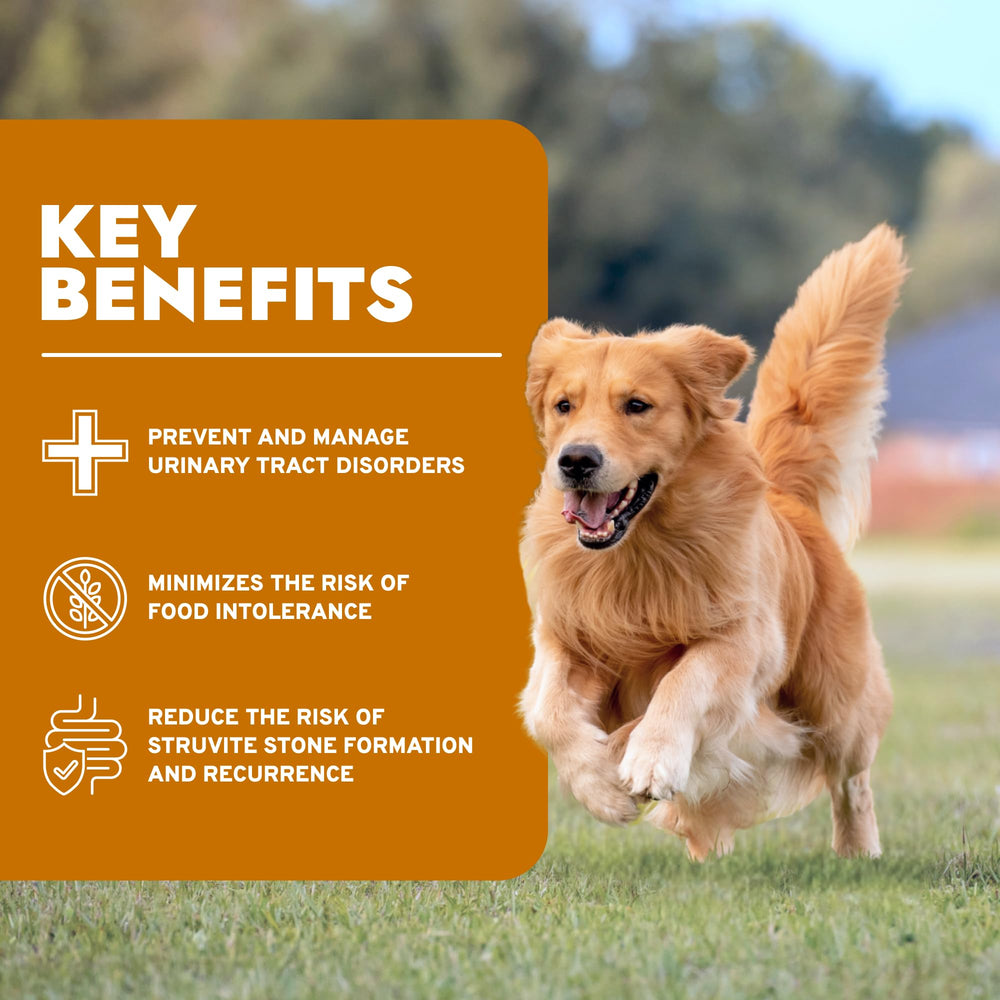 Forza10 non-GMO label indicating clean ingredients for dogs