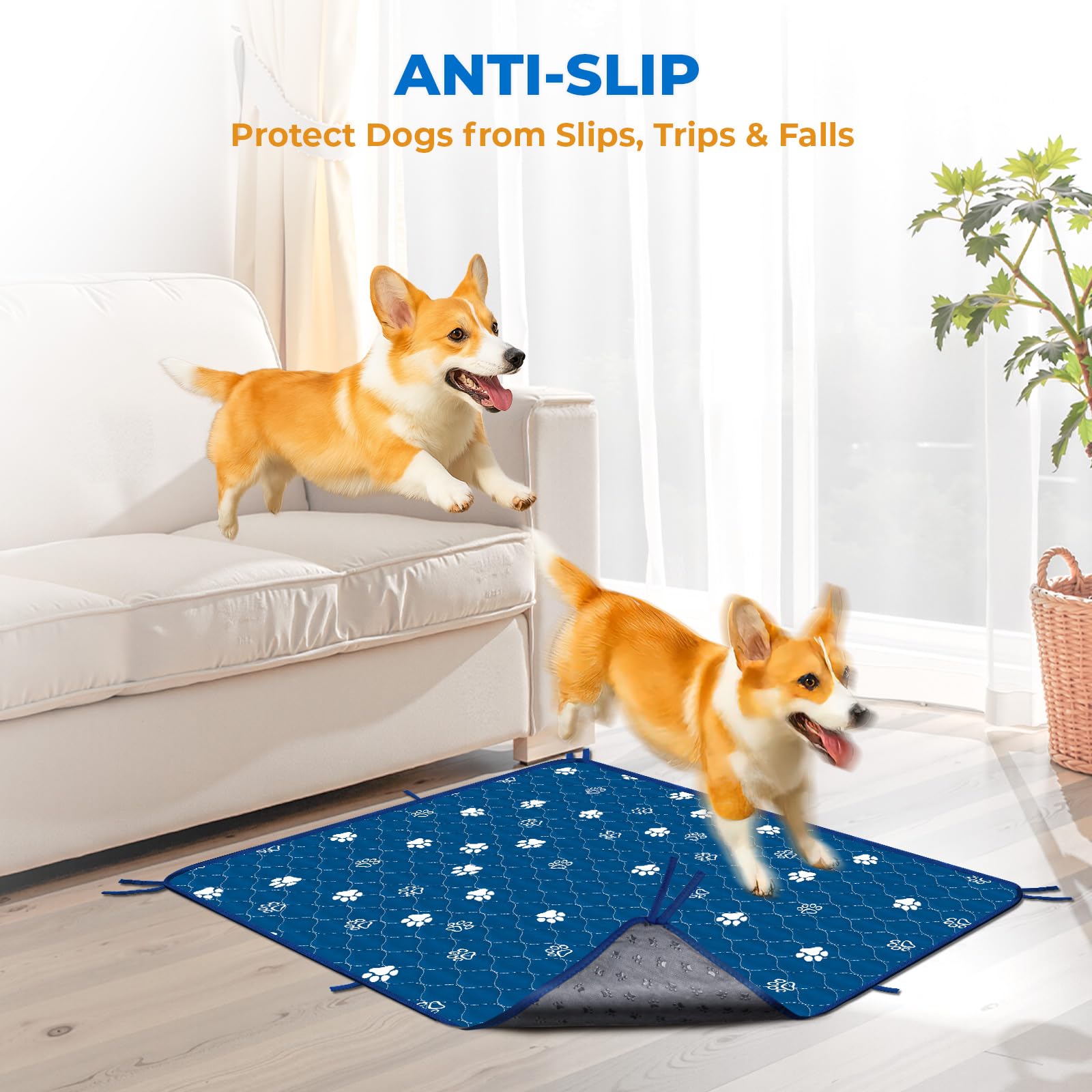 Fostanfly 2-pack with eight lanyards enhances attachment options.