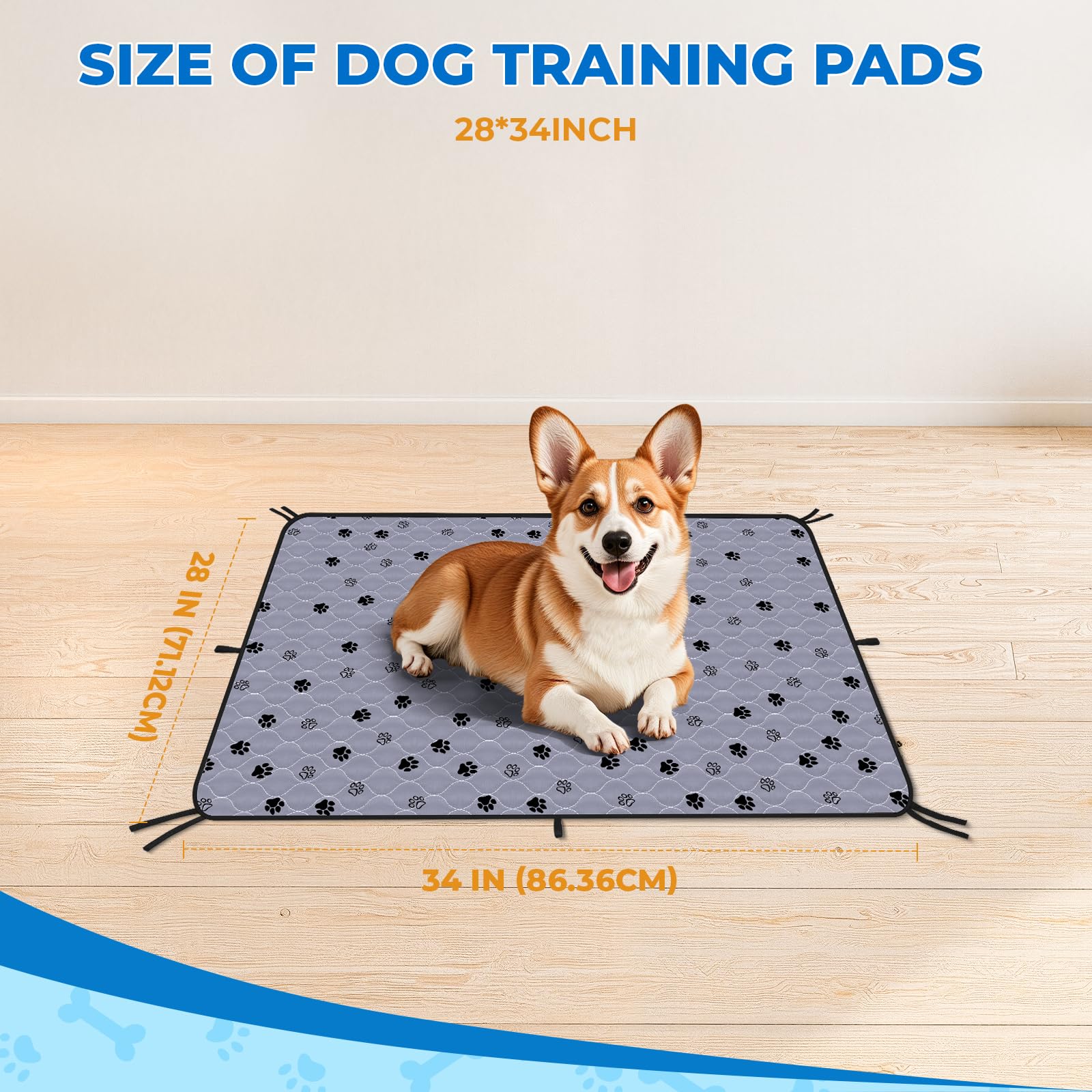 Four-layer construction with soft quilted top for pet comfort.