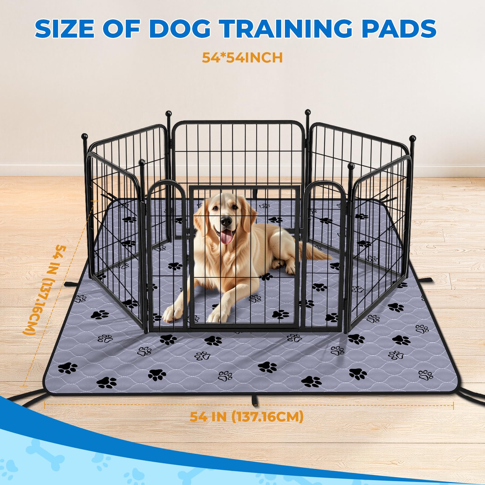 Fostanfly pad two-pack setup for easy home potty training