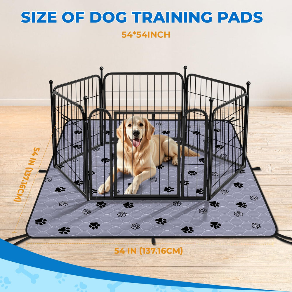 Fostanfly pad two-pack setup for easy home potty training