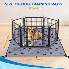 Fostanfly pad two-pack setup for easy home potty training
