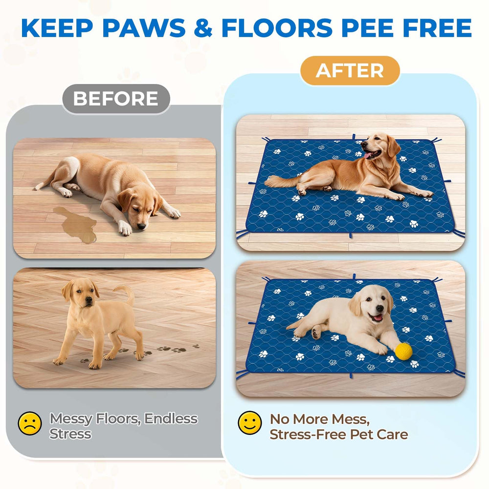 Fostanfly 2-pack convenience saves time during cleaning and replacements