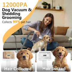 FOTING flat suction with crevice brush for thorough pet hair pickup.