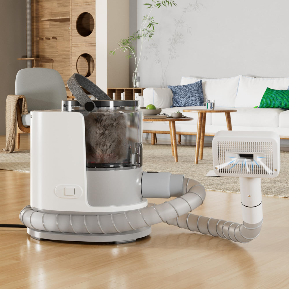FOTING low-noise operation under 60 dB keeps pets calm.