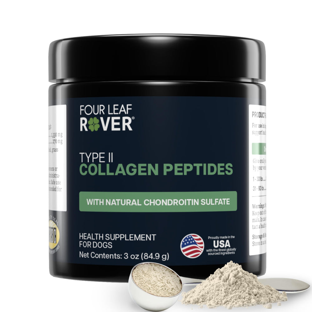 Four Leaf Rover collagen for dogs bottle on counter supports joint health