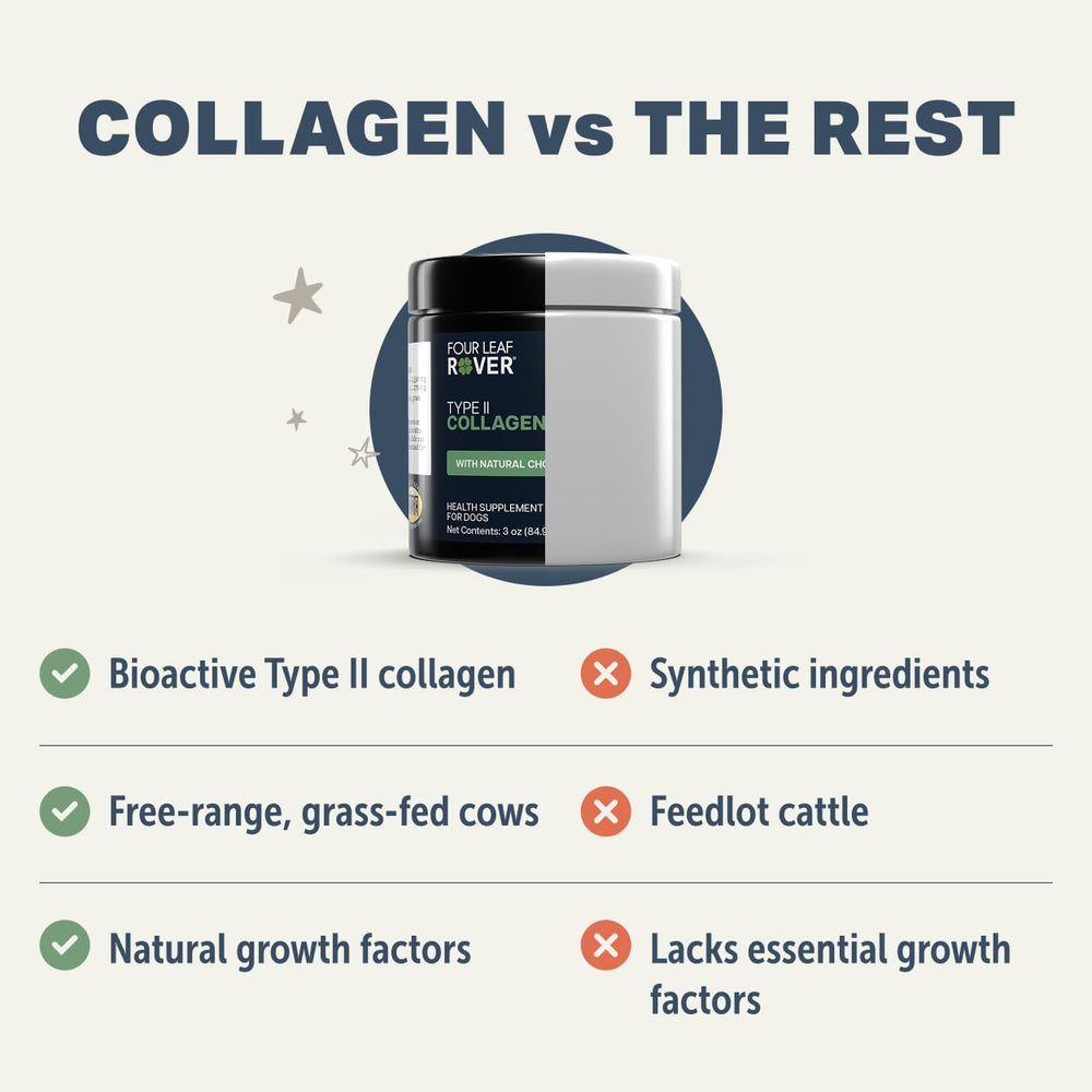 Pouring Four Leaf Rover collagen into dog meal