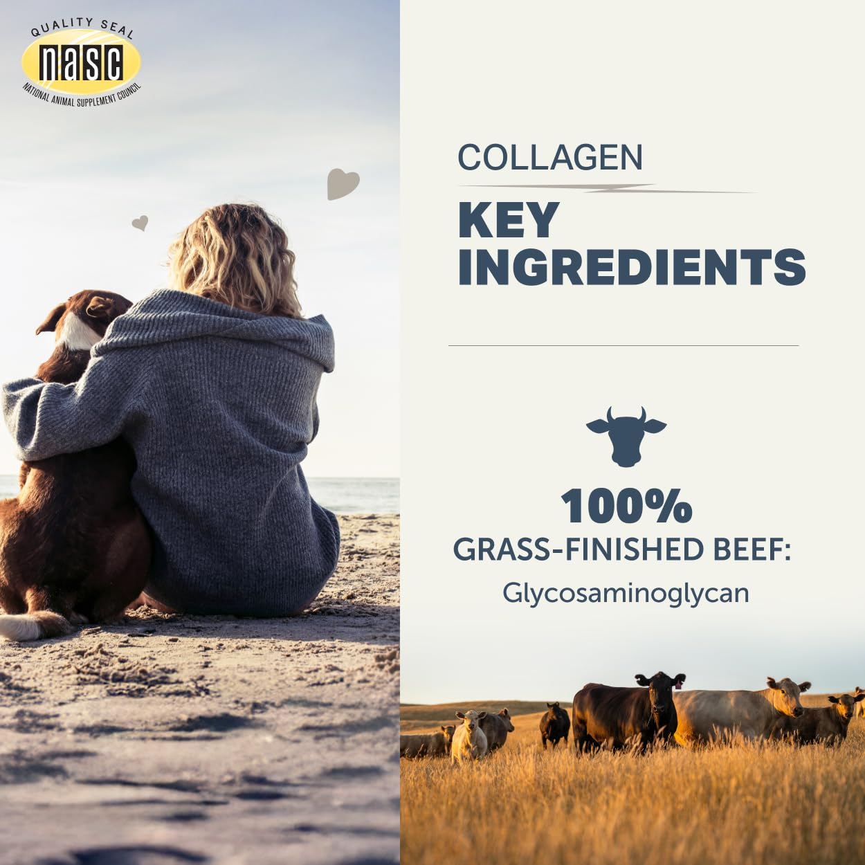Stirring Four Leaf Rover collagen into dog food