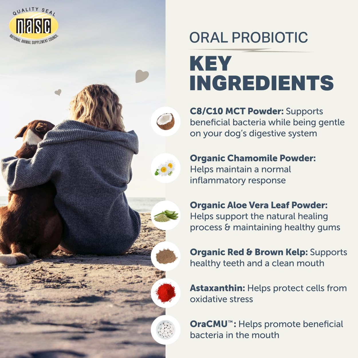 FOUR LEAF ROVER Dental Powder for Dogs being stirred into meals for odor-friendly days.