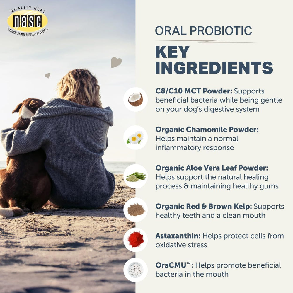 FOUR LEAF ROVER Dental Powder for Dogs being stirred into meals for odor-friendly days.