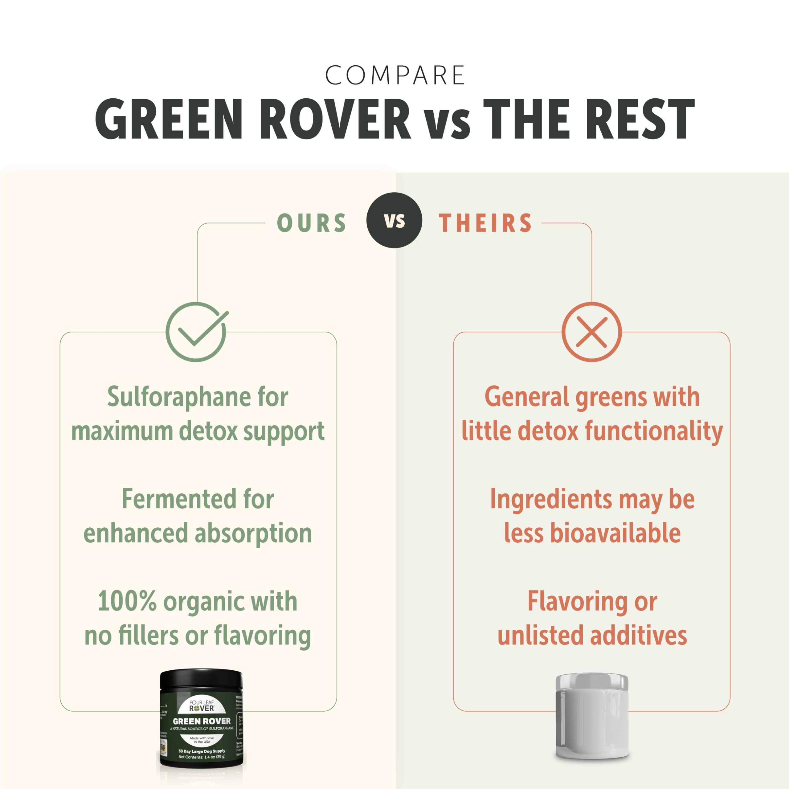Four Leaf Rover Green Rover dog portrait shows product ready for daily use.