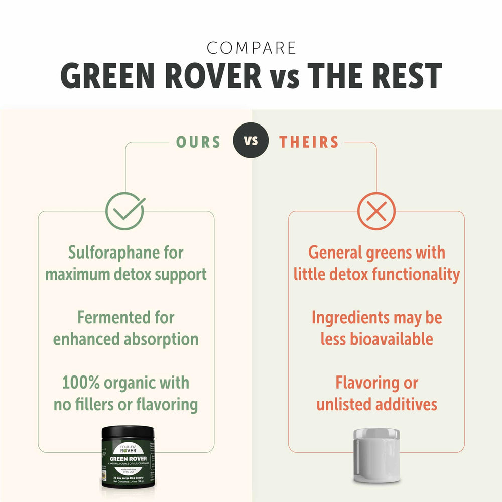 Four Leaf Rover Green Rover dog portrait shows product ready for daily use.