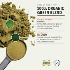 Four Leaf Rover Green Rover scoop in paws, aids easy dosing of nutrient-rich greens.