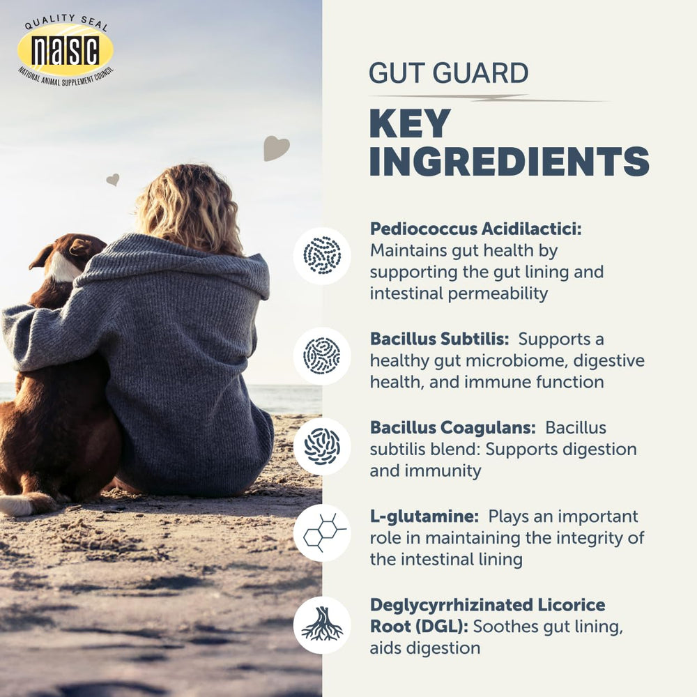 Four Leaf Rover Gut Guard being poured for daily dog gut support