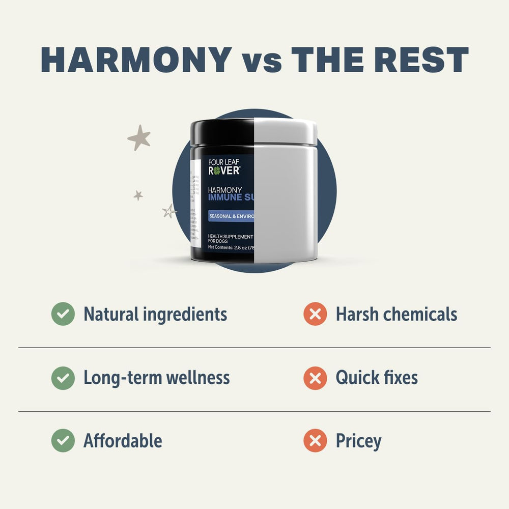 Four Leaf Rover Harmony dog with supplement demonstrates daily use during seasonal changes.