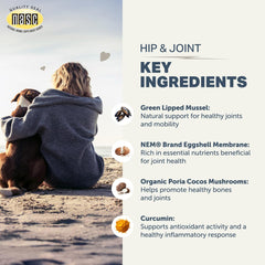 Four Leaf Rover Hip & Joint eggshell membrane image underscores joint comfort support