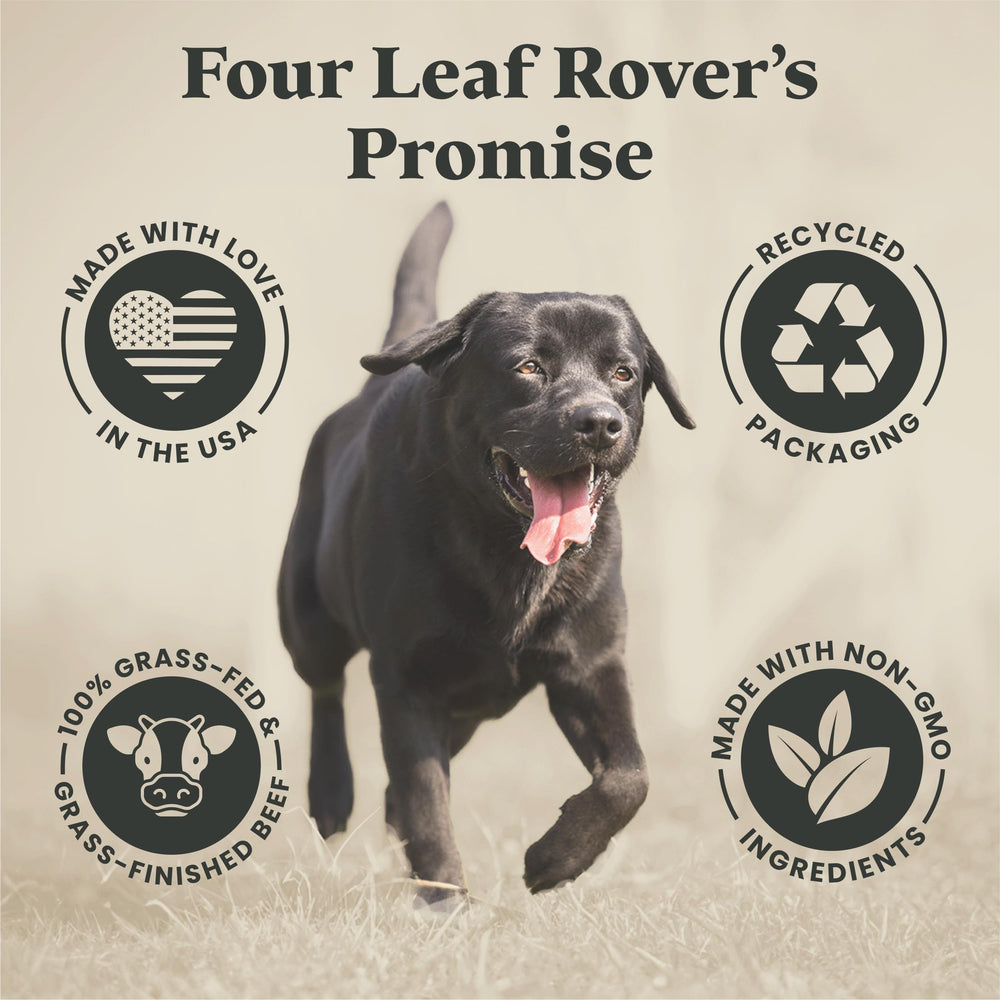 Four Leaf Rover Kibble Fixer meal-ready topper on kibble plate.