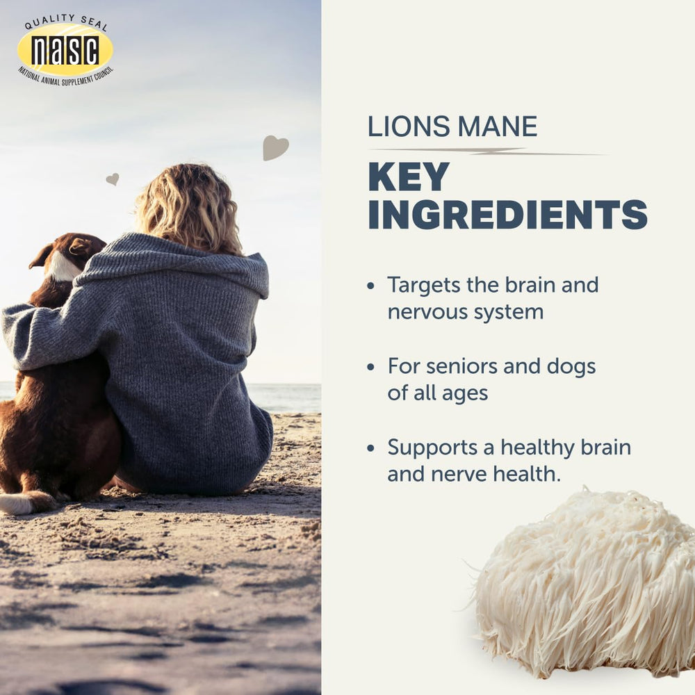 Dog cognitive balance concept with Lions Mane product