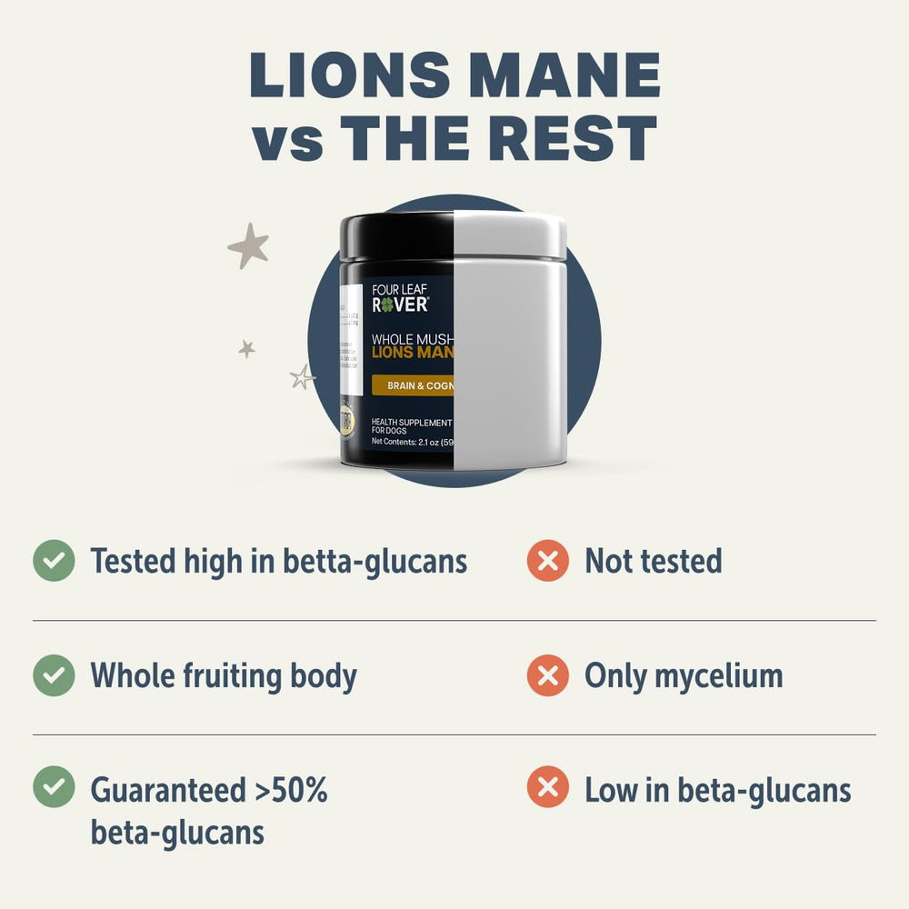 FOUR LEAF ROVER Lions Mane double extracted process highlight