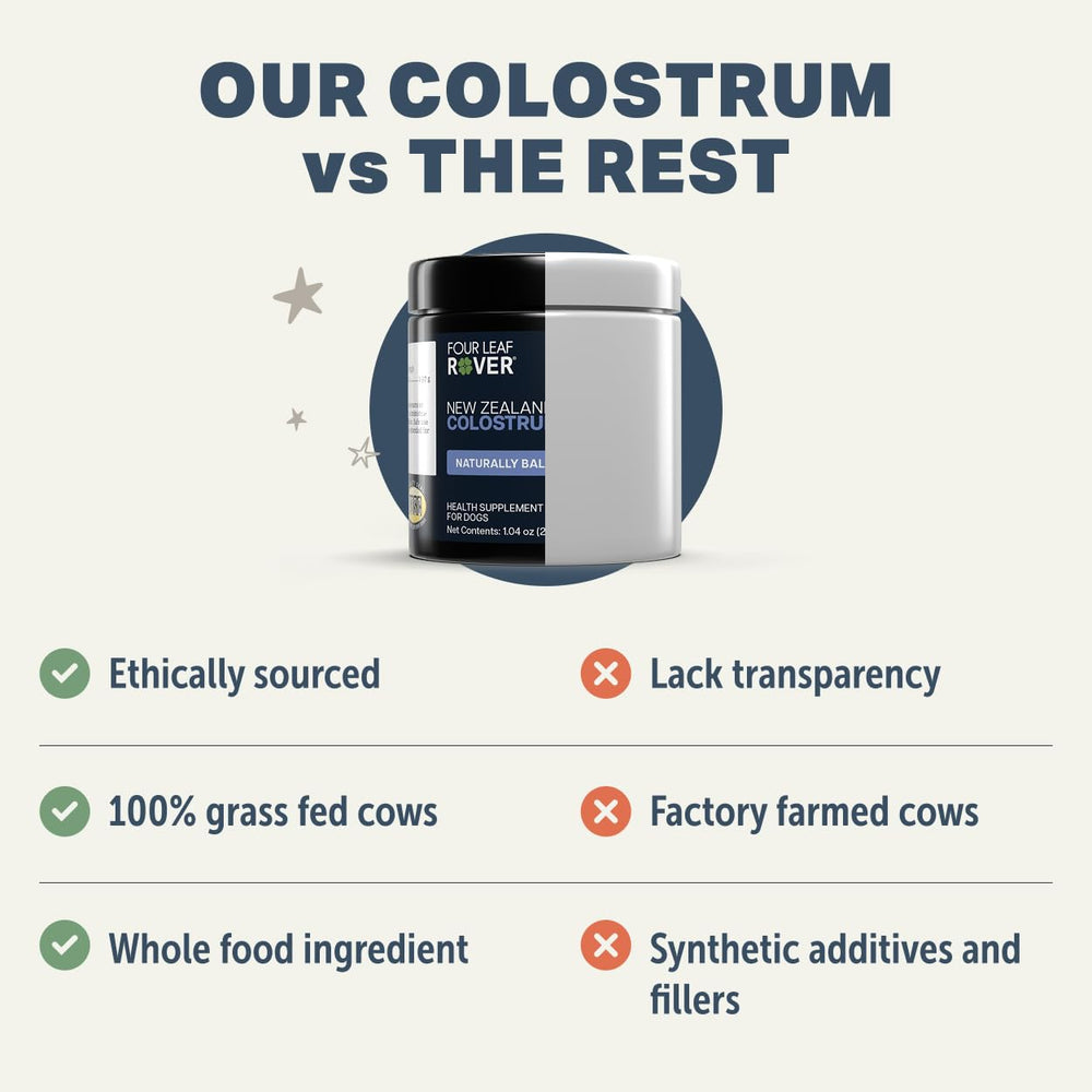 Four Leaf Rover New Zealand pasture cows image emphasizing ethical sourcing.