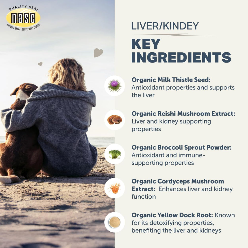 Four Leaf Rover Organic mushrooms showcase polysaccharides aiding liver and kidney health
