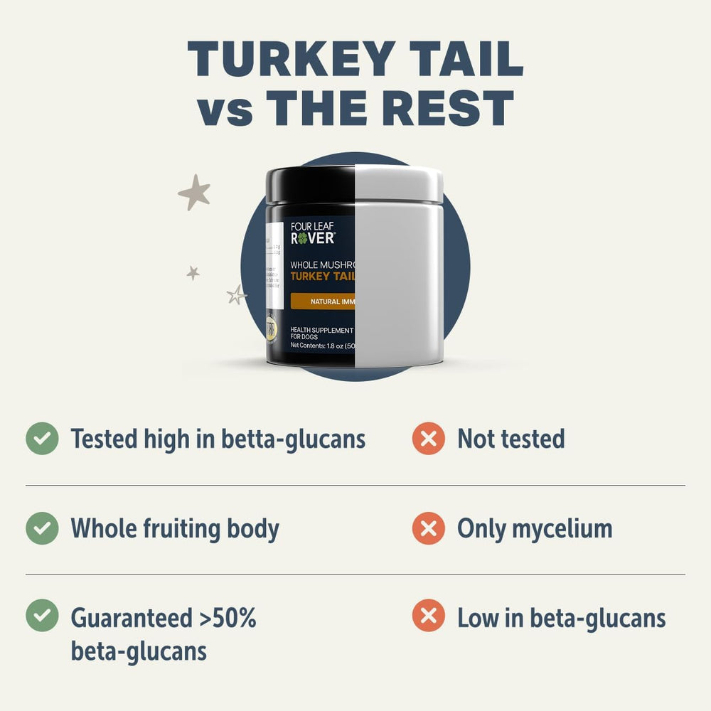 No grains or fillers on Four Leaf Rover turkey tail dog formula