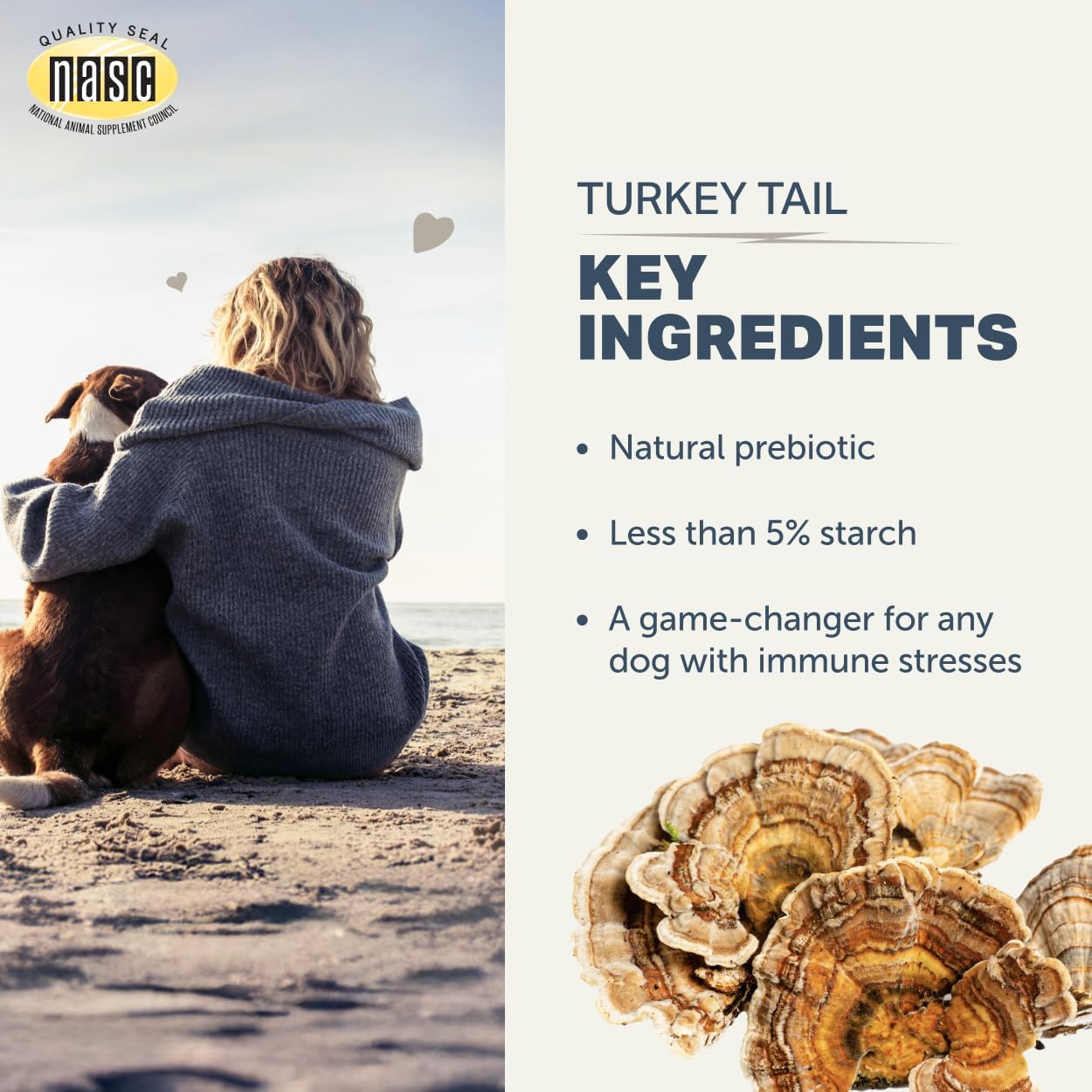 USA-made Four Leaf Rover turkey tail dog supplement bottle with pride