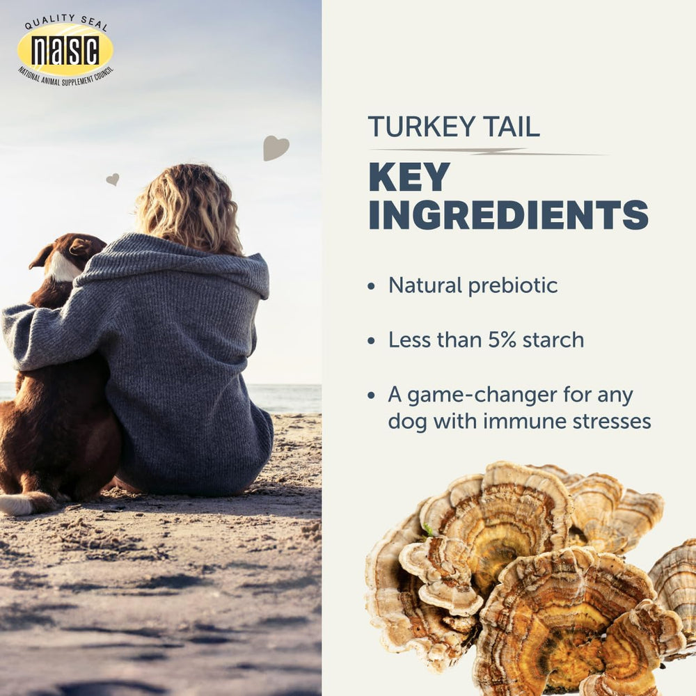 USA-made Four Leaf Rover turkey tail dog supplement bottle with pride