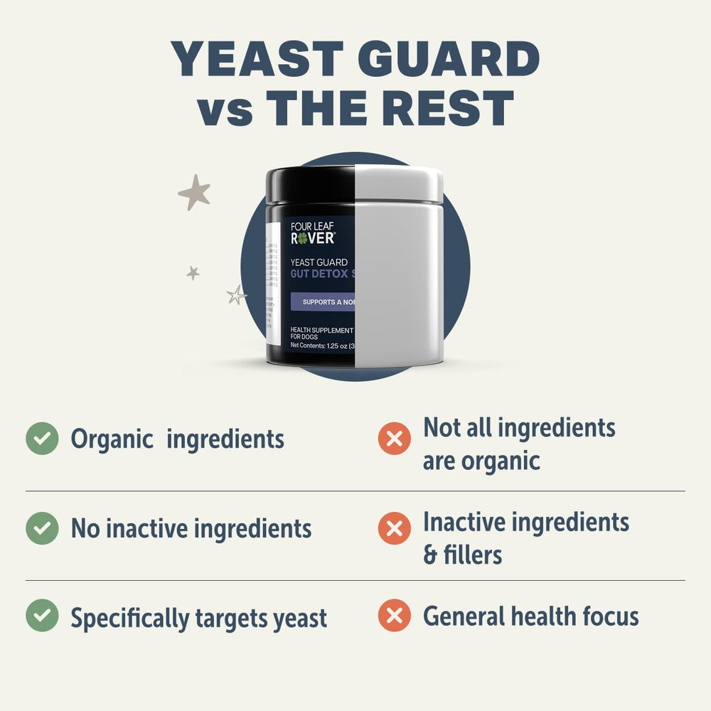 Four Leaf Rover Yeast Guard helps paws stay comfortable.
