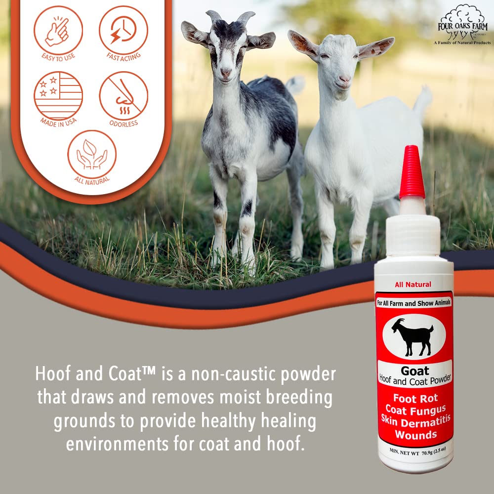 Goat Hoof Coat Powder being dusted onto affected areas for care.