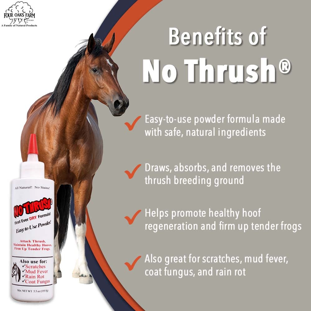 No Thrush applied to heel cracks to address moisture zones