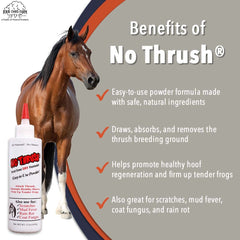 No Thrush applied to heel cracks to address moisture zones