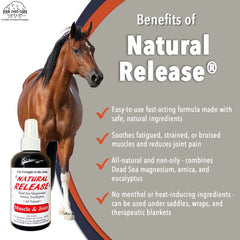 Four Oaks Farm Ventures Arnica Eucalyptus ingredients highlighted for soothing horse care.