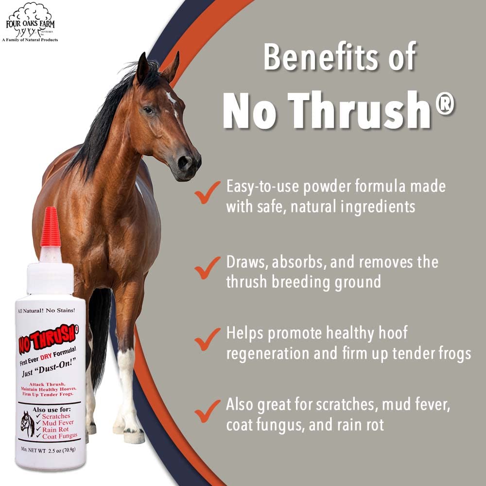 The Four Oaks No Thrush powder is dusted into hoof grooves to aid restoration.