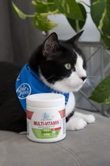 Close-up of Four Paws chicken-flavored cat chews