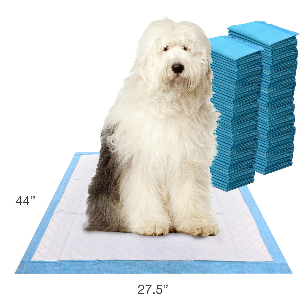Four Paws Wee-Wee 100-count kit offers a long-lasting supply.