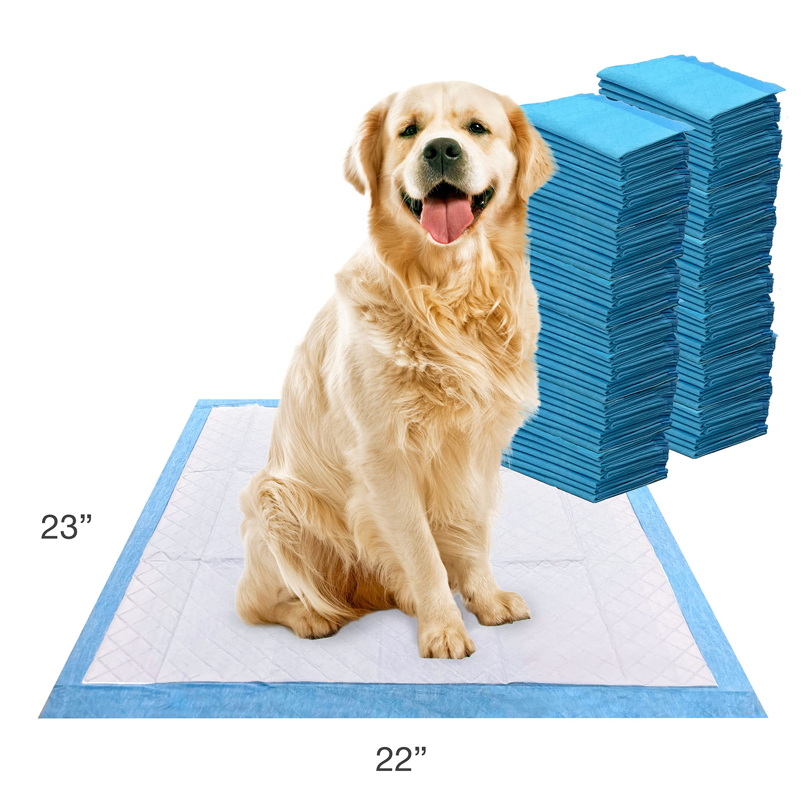 24-hour protection clock icon representing continuous coverage for Wee-Wee pad