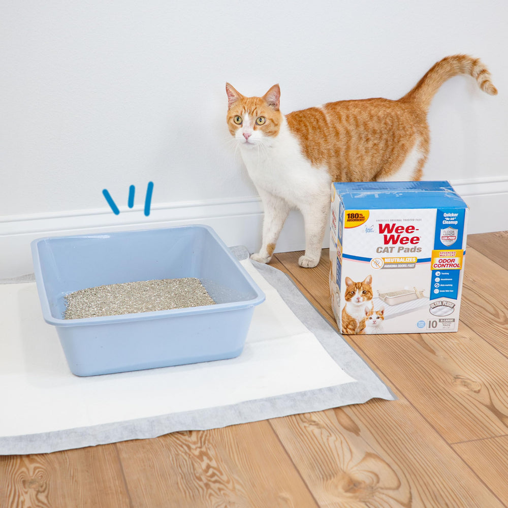 Four Paws Wee-Wee cat pad 28x30-inch size under litter boxes